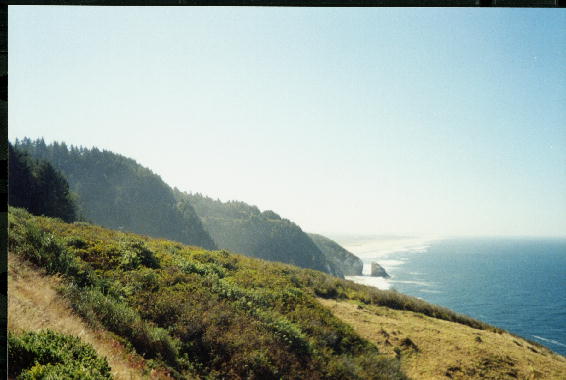 Arriving at Sea Lion Caves.