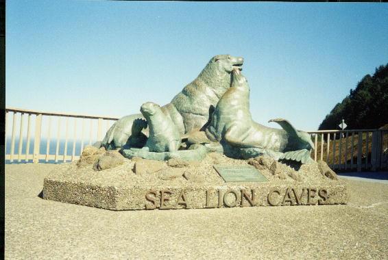 Sea Lion Caves