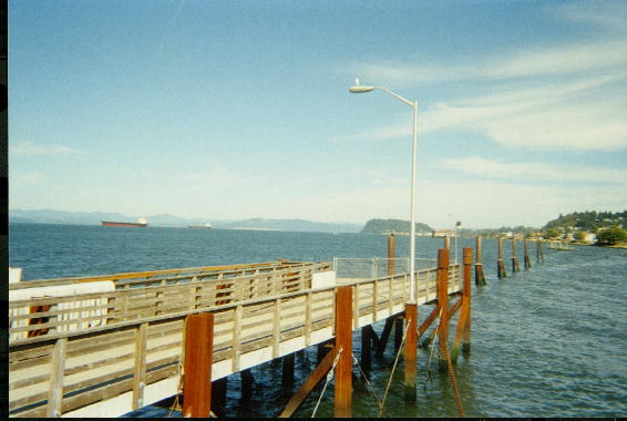 View from Astoria.