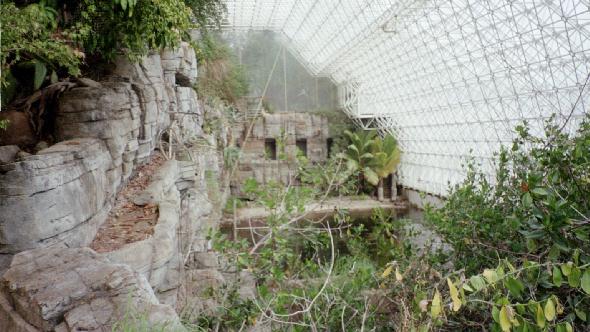 Coral reef in The Biosphere.