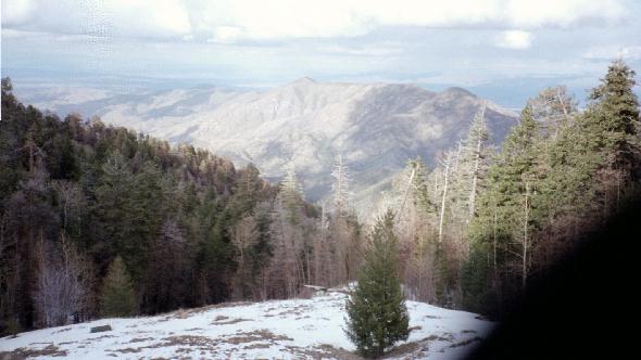 Snow on Arizona's Mt. Lemmon.