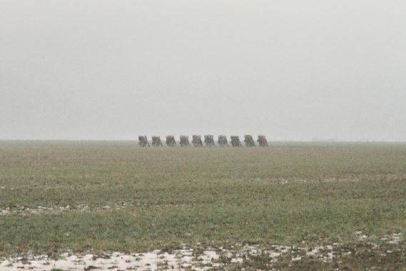 Cadillac Ranch