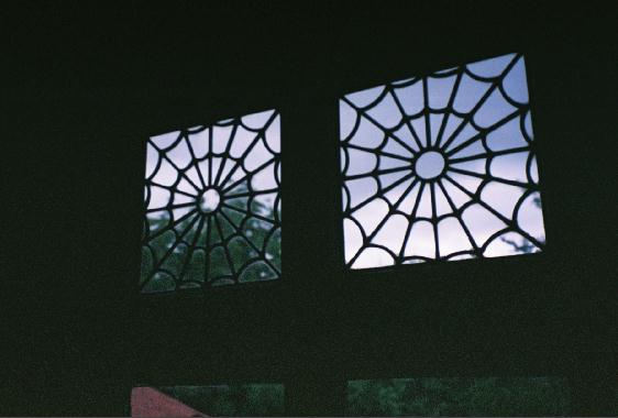 Spiderweb windows